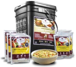 ReadyWise RW01120 Grab N Go Bucket Freeze Dried Entrees 120 Servi