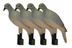 Mojo Outdoors HW9004 Clip On  Dove Species Natural Plastic 4 Per