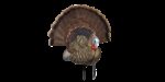 Avian X AVXAVX8021 Trophy Tom  Turkey Species Multi-Color *No Fan