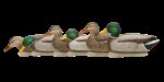 Avian X AVX-AVX8076 Topflight  Mallards Species Multi-Color