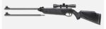 Beeman 1022 Black Club Combo Spring Piston 22 1rd Shot Black Blac