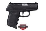 SCCY Industries DVG1CBBKRDR DVG-1  Sub-Compact 9mm Luger 10+1 3.1