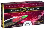 Federal P300WTC1 Premium  300 Win Mag 180 gr Trophy Copper 20 Per