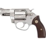 Charter Arms 73829 Undercover  Small 38 Special, 5 Shot 2 High Po