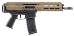 APC300 300BLK 8.7 TAN 30+1