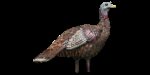 Avian X AVXAVX8006 LCD Lookout Hen Turkey Species Multi Color Dur