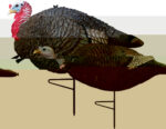 Primos 69075 Lil' Gobblestopper Jake & Hen Combo Turkey Species M