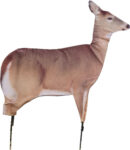 Montana Decoy Co Dreamy Doe Decoy