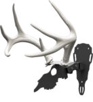 Hunters Specialties Antler Shed Mount