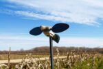 Mojo Outdoors HW2488 Elite Series  Dove Species Multi Color PVC