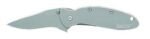 Kershaw 1620FL Scallion  2.40 Folding Drop Point Plain Bead Blast