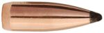 Sierra 1390 GameKing  .22 Cal .224 55 gr Hollow Point Boat Tail/