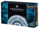 Federal 24385LFA Power-Shok  243 Win 85 gr Copper Hollow Point 20