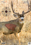 Birchwood Casey 35402 Pregame  Mule Deer Paper Target 16.50 x 24