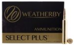 Weatherby H65RPM140IL Select  6.5 WBY RPM 140 gr Hornady Interloc