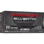 Winchester Ammo W22MST Silvertip  22 Mag 40 gr Silvertip Hollow P
