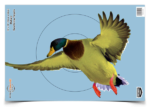 Birchwood Casey 35407 Pregame  Duck Paper Hanging Rifle/Shotgun 1