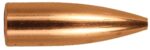 Berger Bullets 22408 Target Match Grade 22 Cal .224 52 gr Flat Ba
