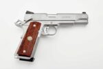 PROTECTOR 45ACP 5 SS 8+1 CA
