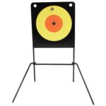 Birchwood Casey 47652 World of Targets Spoiler Alert Rimfire Pist