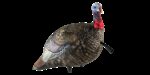 Avian X AVXAVX8003 LCD Quarter-Strut Jake Turkey Species Multi Co