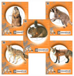 Champion Critter Series Targets - 11" X 14" 10/Pack