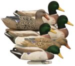 Higdon Outdoors 17053 Magnum Floaters Mallard Species Multi Color