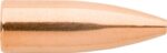 Sierra 1400 MatchKing  .22 Cal .224 53 gr Hollow Point/ 100 Per B