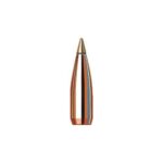 NTX 22 CALIBER (.224'') RIFLE BULLETS