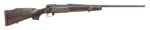 LSI HOWA M1500 22 250 REM 22