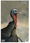 Birchwood Casey 35403 Pregame  Turkey Paper Hanging Universal 12