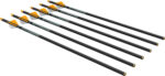 Ravin Crossbows R120 R500/50X Series Arrows .003 6 Pack