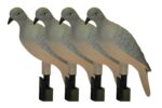 Mojo Outdoors HW9004 Clip On  Dove Species Natural Plastic 4 Per