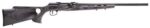 Savage Arms 47215 A22 Target Full Size Semi-Auto 22 LR 10+1 22 Ba
