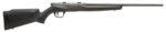 Savage Arms 70840 B17 F Bolt Action 17 HMR Caliber with 10+1 Capa