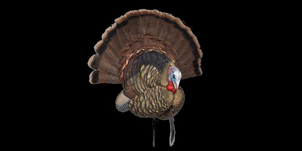 Avian X AVXAVX8021 Trophy Tom  Turkey Species Multi-Color *No Fan