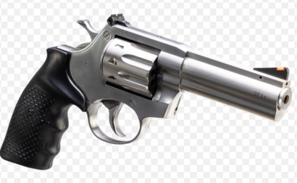 AL22 REVOLVER 22LR 9RD SS 4