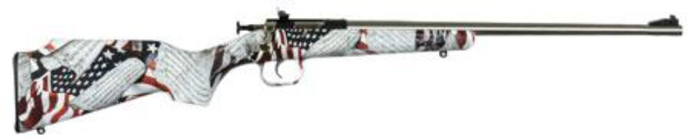 Crickett KSA3168 Youth  22 LR 1rd 16.12 Stainless Steel Barrel, F