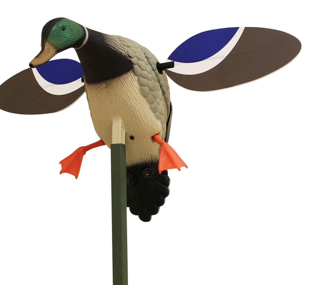 Mojo Outdoors HW4401 Baby Mojo Drake Mallard Species Multi Color