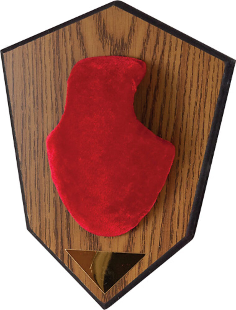 Allen Antler Mounting Kit - Red Skull