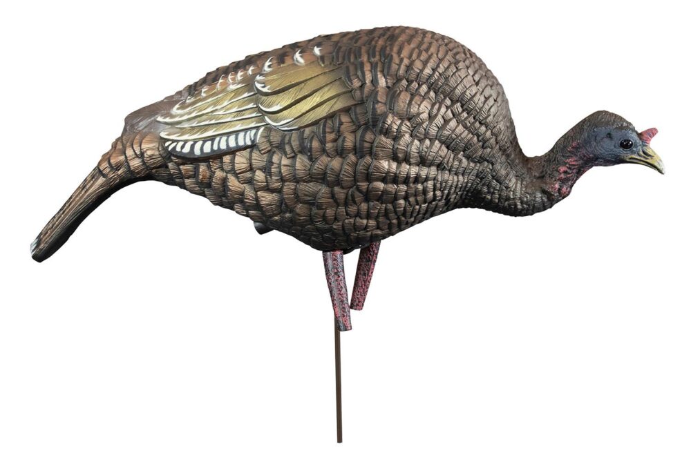 Higdon Outdoors 63122 Hard Body Feeder Hen Turkey Species Multi C