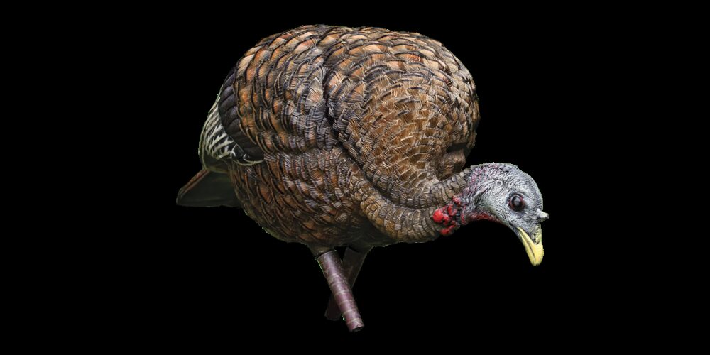 Avian X AVXAVX8007 LCD Feeder Hen Turkey Species Multi Color Dura