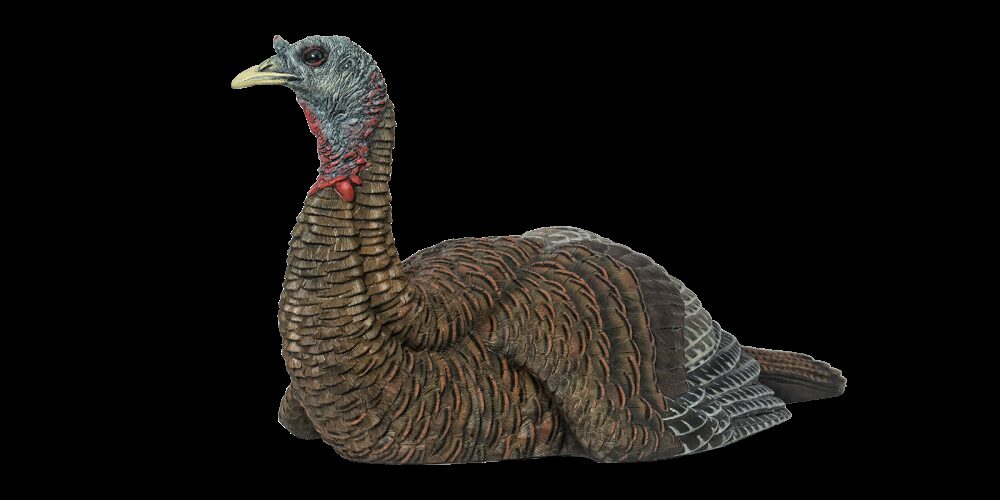 Avian X AVXAVX8011 LCD Laydown Hen Turkey Species Multi Color Dur