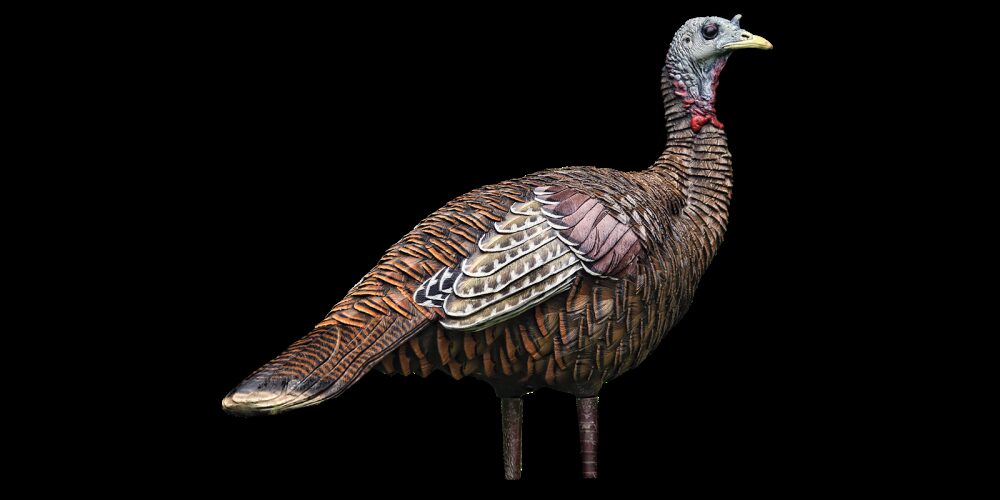 Avian X AVXAVX8006 LCD Lookout Hen Turkey Species Multi Color Dur