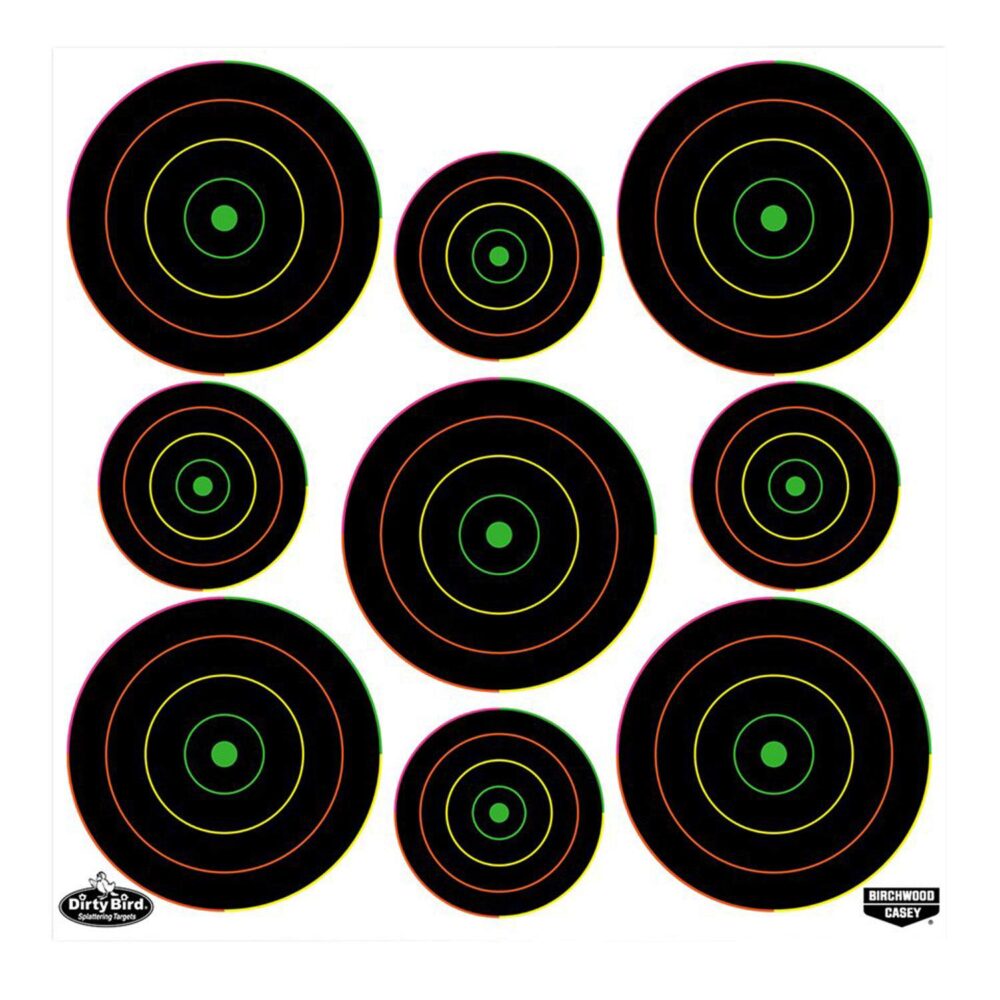 Birchwood Casey 35828 Dirty Bird  Bullseye Tagboard Hanging Pisto
