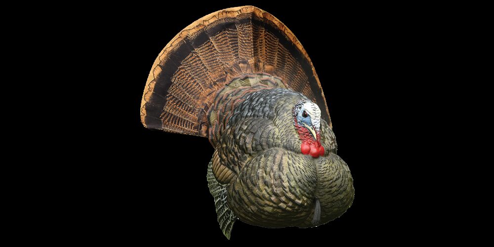 Avian X AVXAVX8004 LCD Strutter Turkey Species Multi Color Dura-R