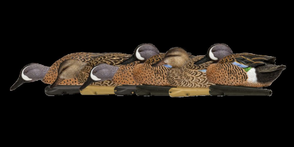 Avian X AVX-AVX8080 Topflight  Teal Species Multi-Color
