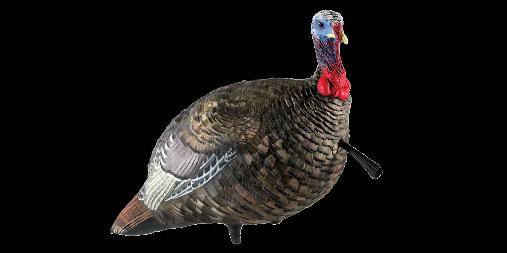 Avian X AVXAVX8003 LCD Quarter-Strut Jake Turkey Species Multi Co