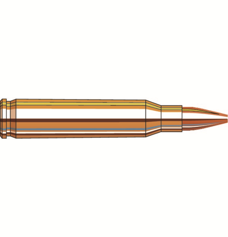 FRONTIER AMMO 223 REMINGTON 55GR HOLLOW POINT MATCH