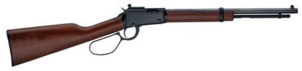 Henry H001TMLP Small Game Carbine 22 WMR Caliber with 9+1 Capacit